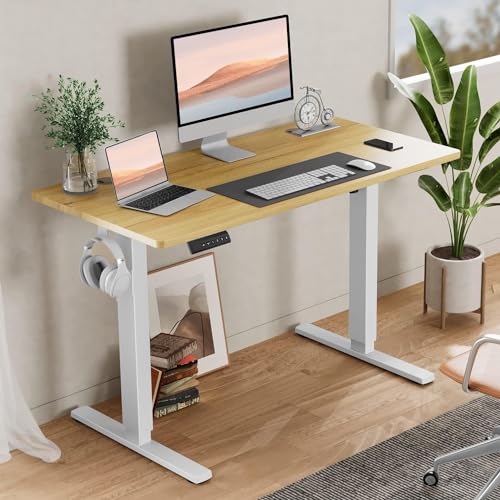 Standing Desk, Adjustable Height Electric Sit Stand Up Down Computer Table