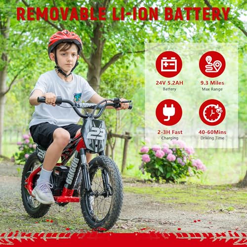 wanan Electric Dirt Bike for Kids 6-12 with Shock-Absorbing Front Fork, 250W Electric Motorcycle Up to 15.5MPH, 24V Detachable Battery, 16''