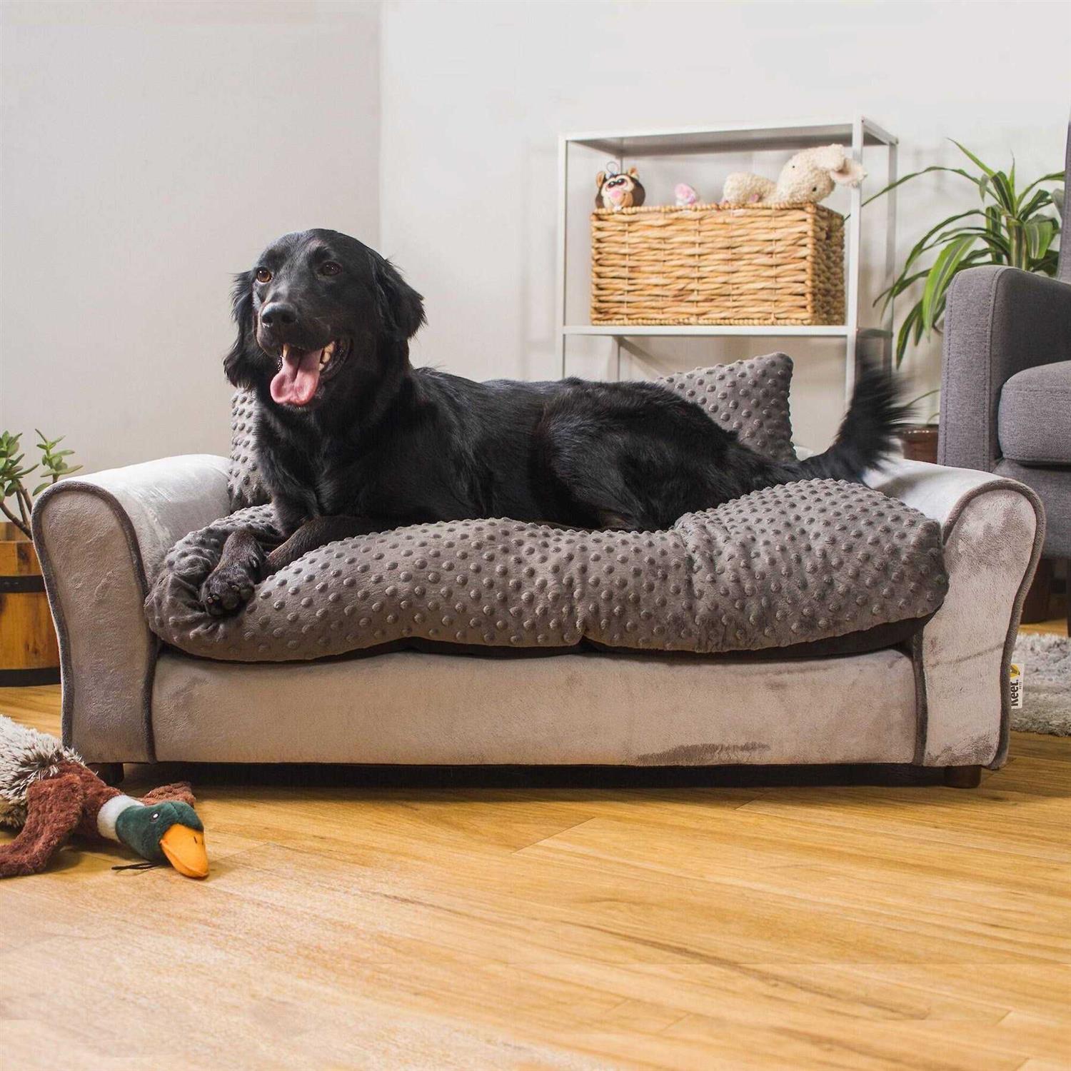 Keet Westerhill Pet Sofa Bed - Pet Supplies online store