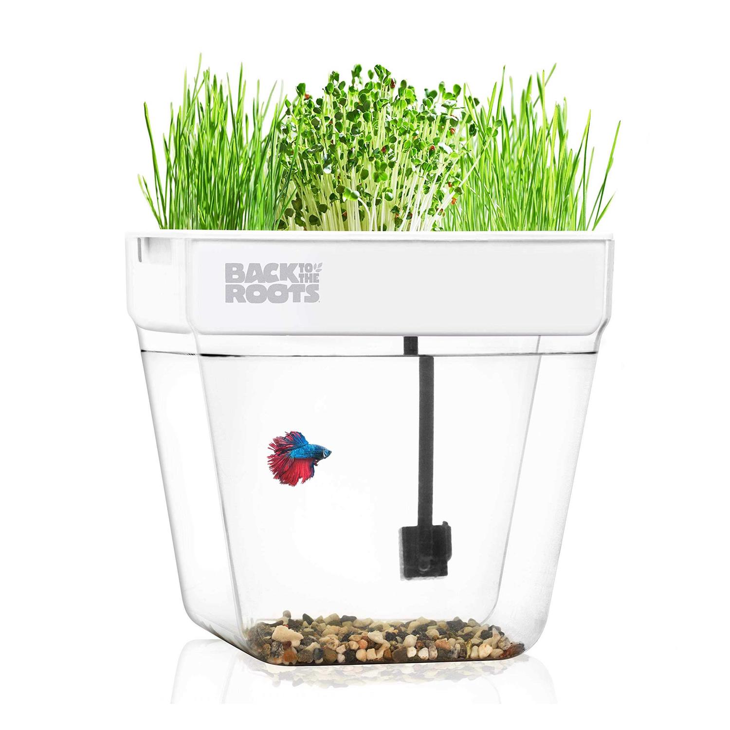 Back to the Roots Water Garden - Pet Supplies online store