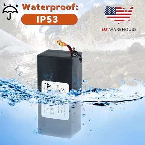 48V 20AH Ebike Battery, LiFePO4 Battery Pack with 40A BMS and 3A Fast Charger fit for 1500w-250w Motor, Electric Motorcycle Bike Scooter,Go cart