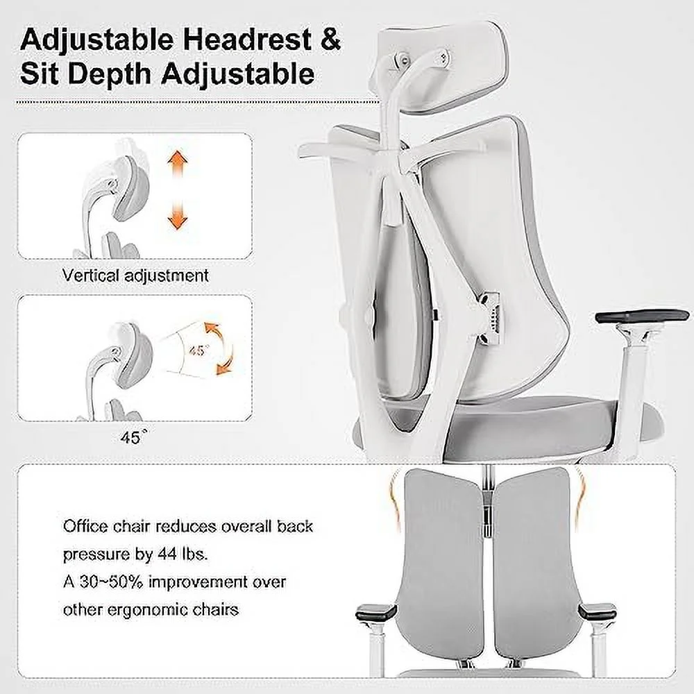 Ergonomic Office Chair Dual Backrests  BV Lumbar Support Office Desk Chair Back Support  Breathable mesh Office Chair 3D Adjustable Armrest
