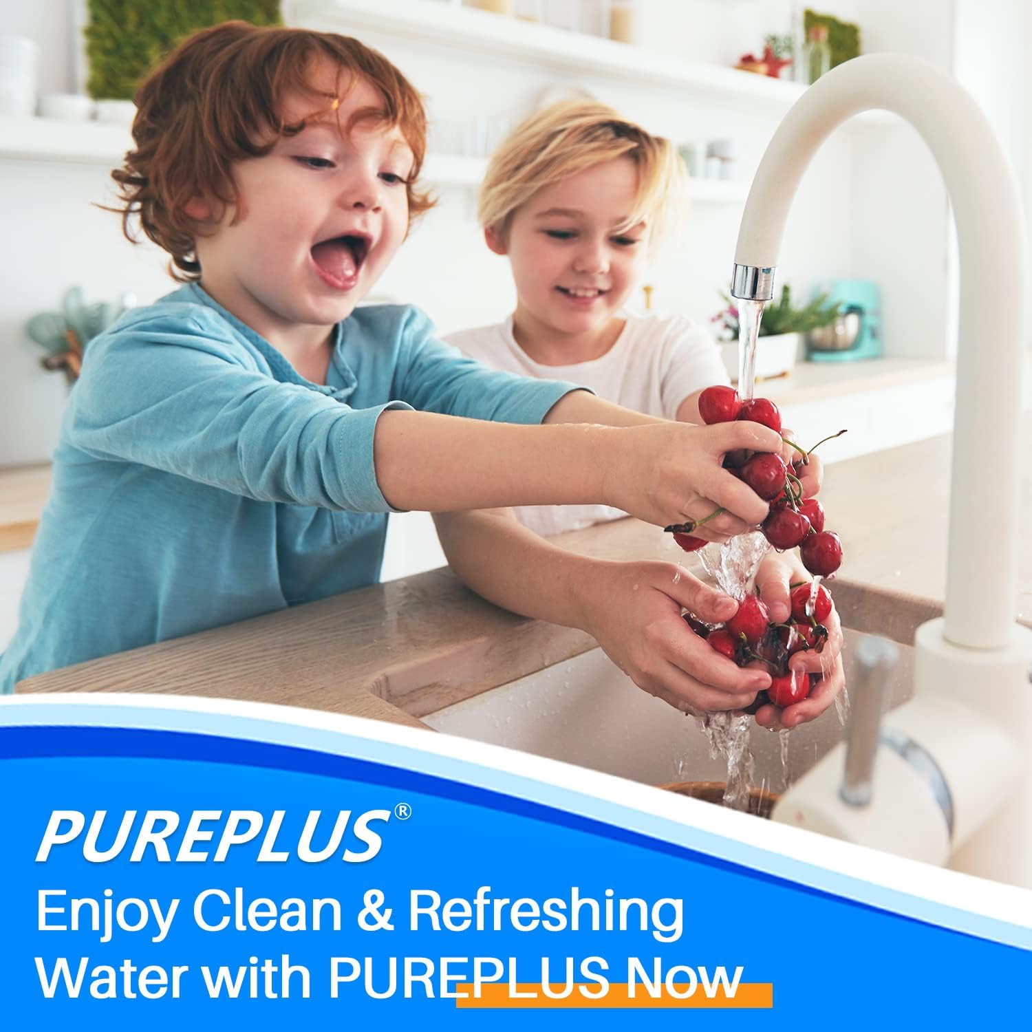 PUREPLUS 5 Micron 20 x 4.5 RFN20BB Whole House Iron & Manganese Reduce Water Filter Replacement Cartridge,1 Pack