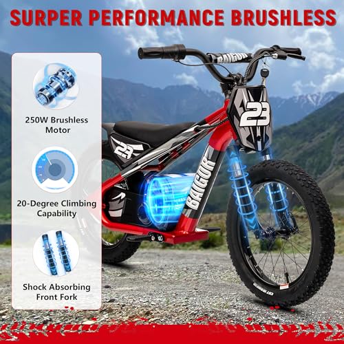 wanan Electric Dirt Bike for Kids 6-12 with Shock-Absorbing Front Fork, 250W Electric Motorcycle Up to 15.5MPH, 24V Detachable Battery, 16''