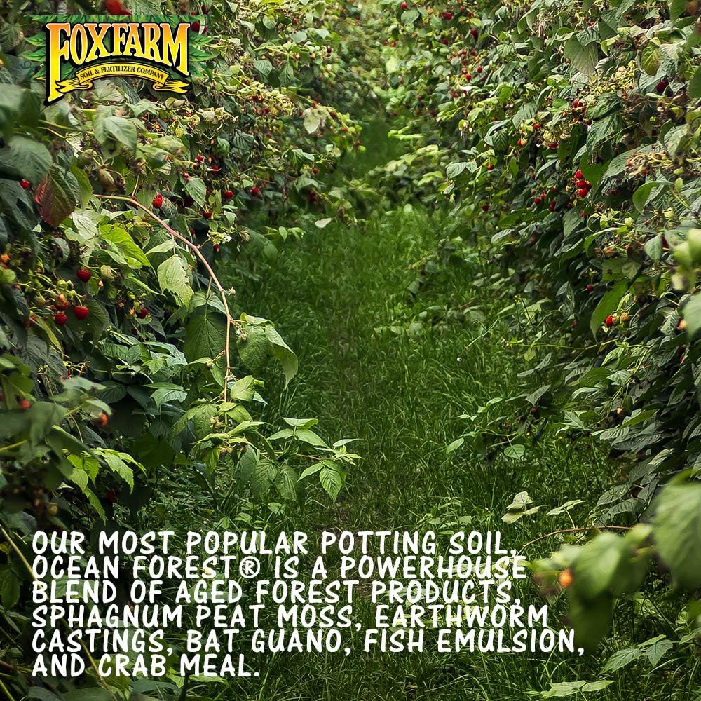 Fox Farm Ocean Forest Potting Soil Organic Plant Fertilizer for Garden Plants Indoor and Outdoor - Plant Soil - 38.5 Quart (1.5 cu ft).