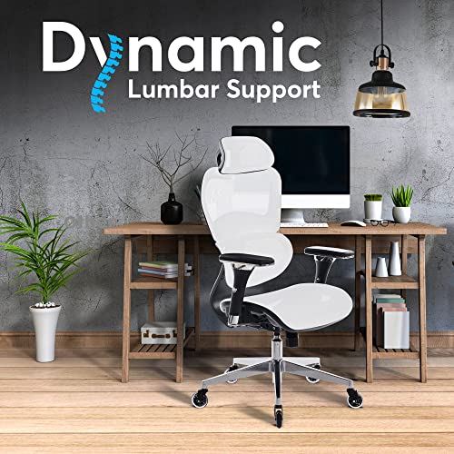 Oline ErgoPro Ergonomic Office Chair, Rolling Desk Chair with 4D Adjustable Armrest, 3D Lumbar Support, Blade Wheels