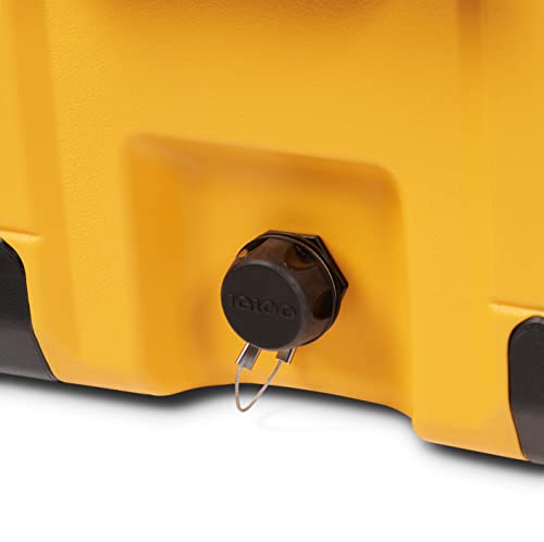 Igloo BMX Hard Coolers (25-72QT)
