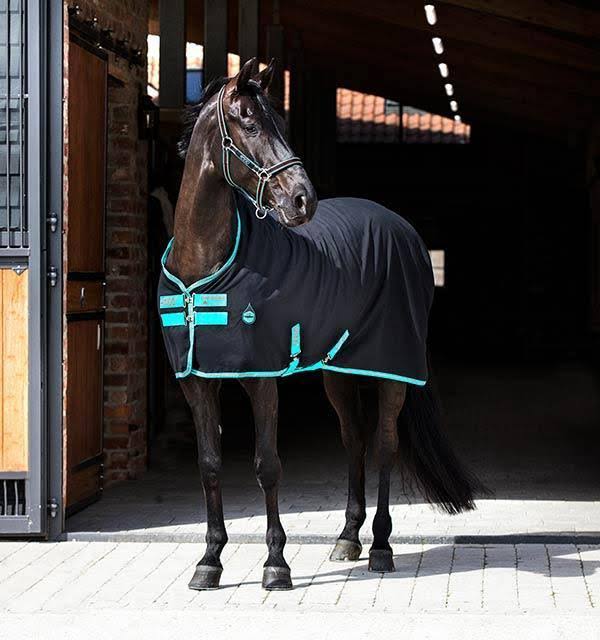 Amigo Stable Sheet - Excalibur/Orange
