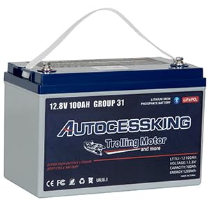 12V 100Ah BCI Group 24 LiFePO4 Battery, 100A BMS Rechargeable Mini Lithium Battery with Low-Temp Protection, Up to 15000 Cycles Perfect for RV