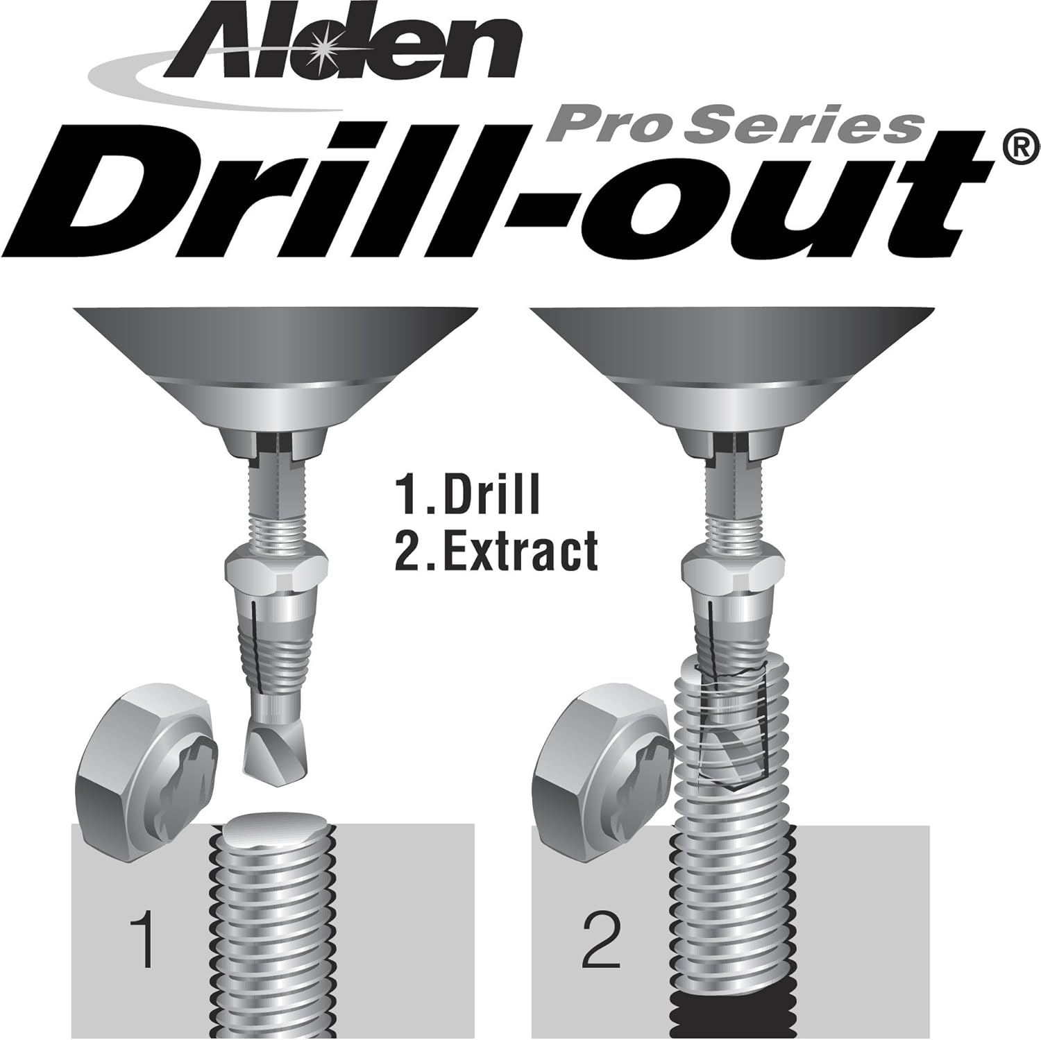 Alden 1007P 10 Piece Master Extractor Kit Pack of 2