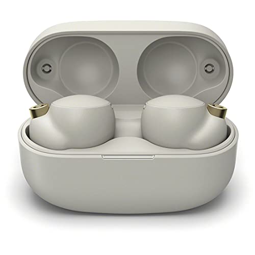 Sony Truly Wireless Noise Cancelling Headphone - Optimised for Alexa and Google Assistant - with Built-in mic for Calls - Bluetooth Connection