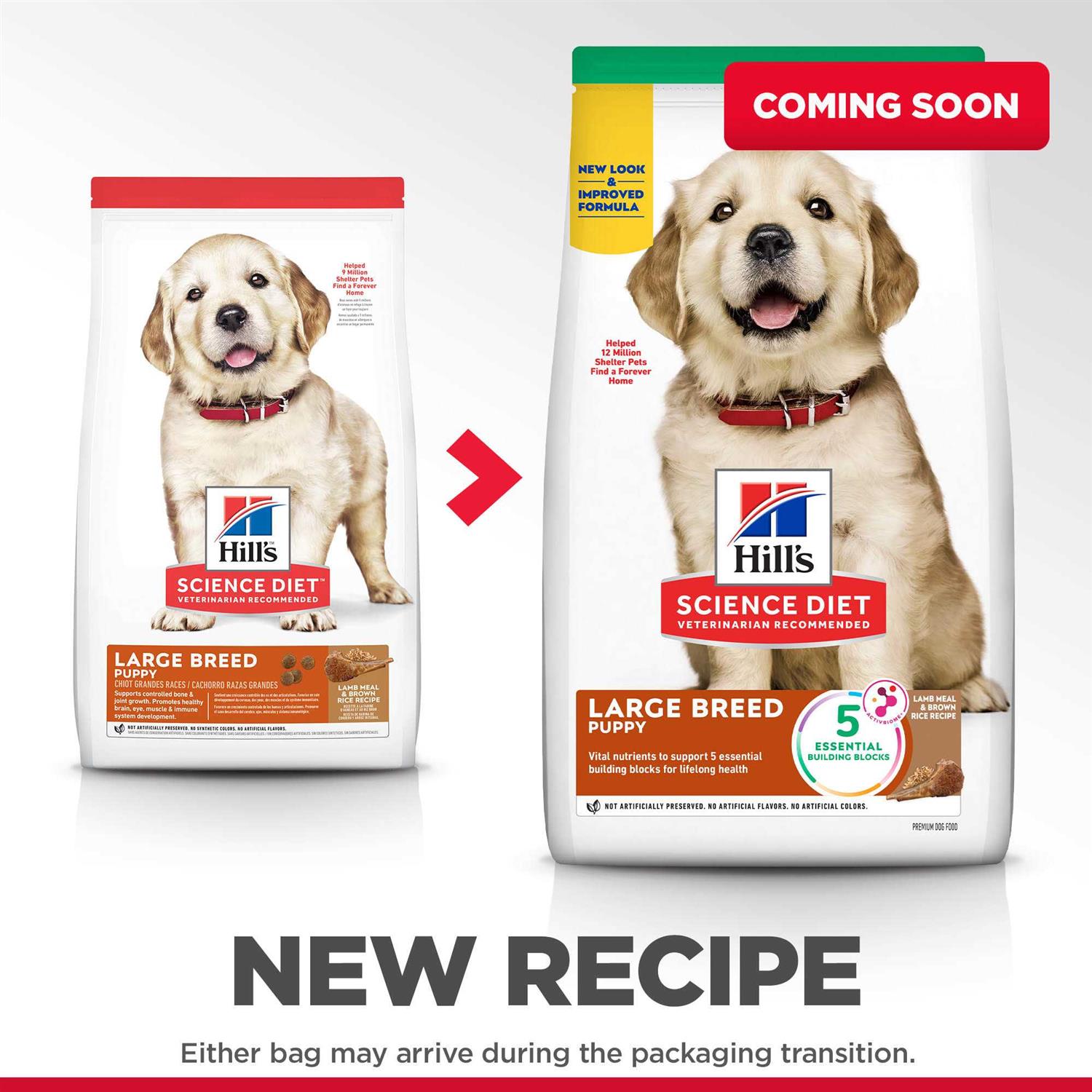 Hill's Science Diet Large Breed Puppy Chicken Recipe Dry Dog Food - Pet Supplies online store