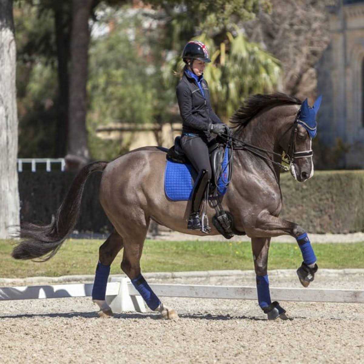 LeMieux Dressage Square Suede Pad - Sports Supplies Online Store
