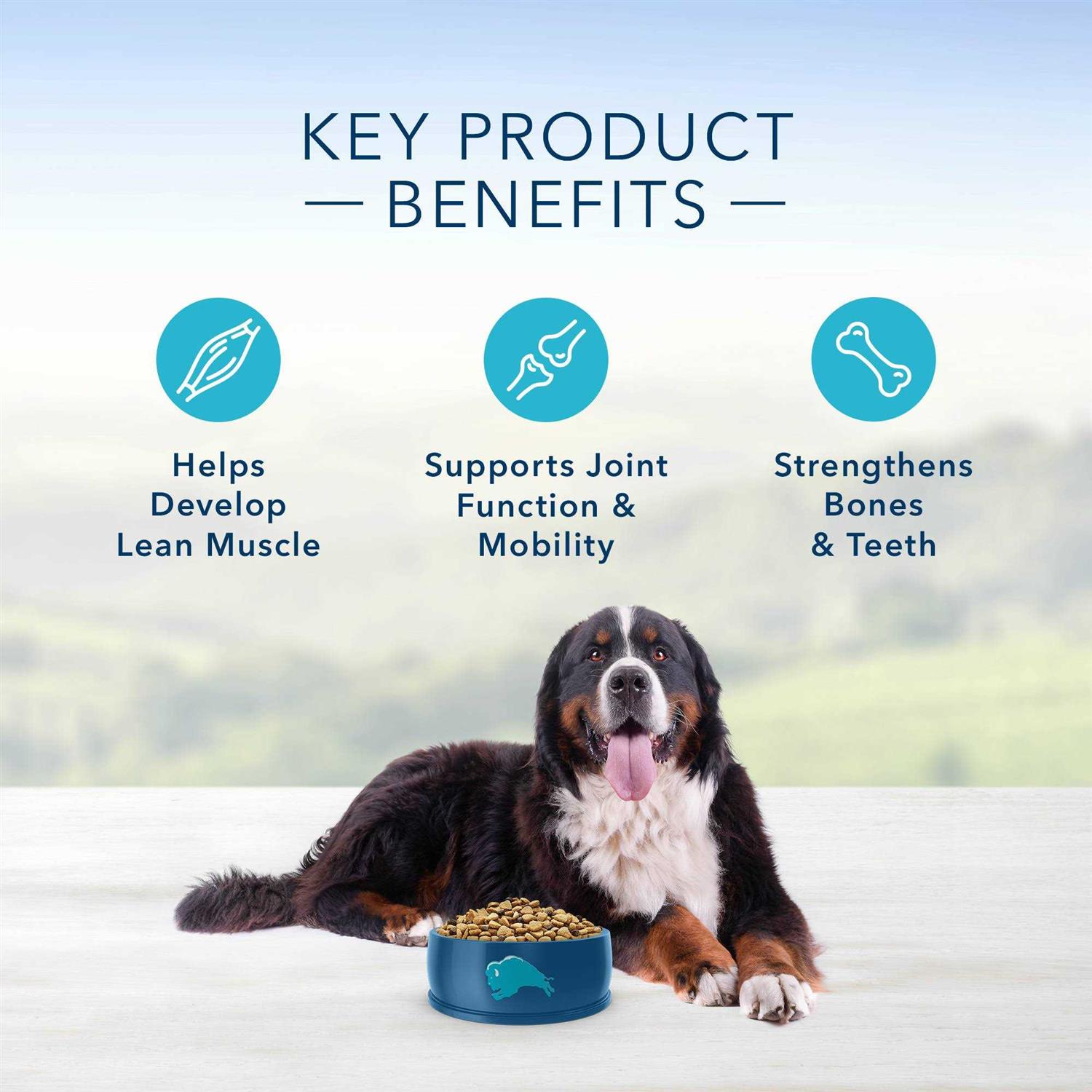 Blue Buffalo Life Protection Formula Natural Adult Large Breed Chicken and Brown Rice Dry Dog Food - Pet Supplies online store