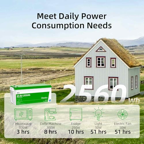 Lithium LiFePO4 Deep Cycle Battery, Low-temp Protection, 4000-15000 Cycletimes, Perfect for Homeback up Power, Solar Power, Off-Grid