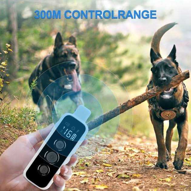 PATPET P650 Anti-Bark &amp; Remote Dog Training Collar - Pet Supplies online store