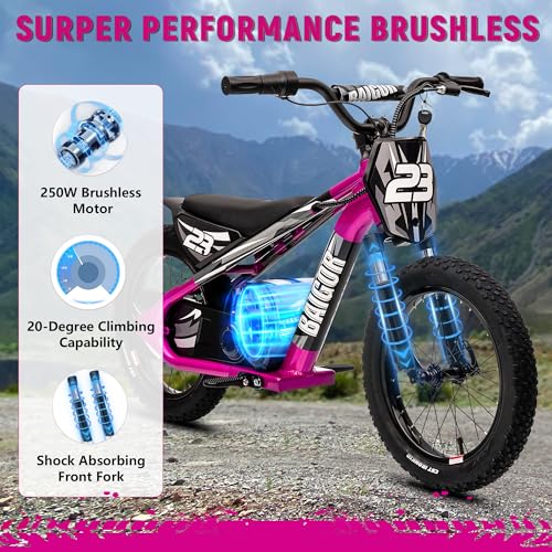 wanan Electric Dirt Bike for Kids 6-12 with Shock-Absorbing Front Fork, 250W Electric Motorcycle Up to 15.5MPH, 24V Detachable Battery, 16''