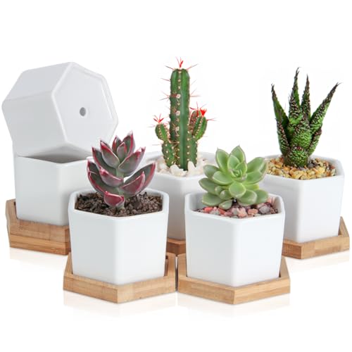 OAMCEG 6 Pack 4 Inch Succulent Pots - Small Succulent Planters