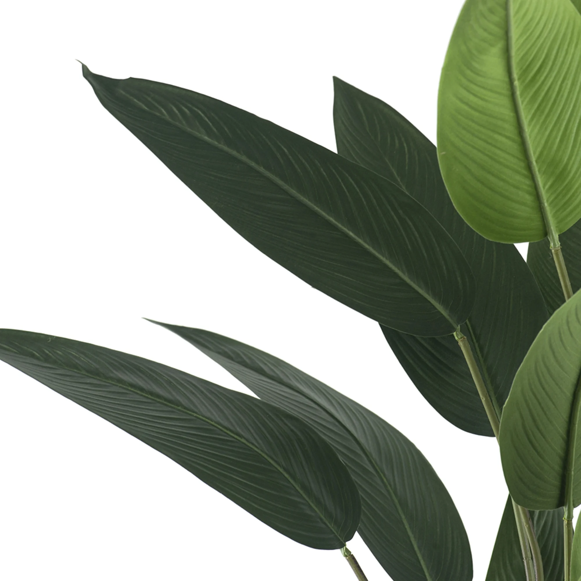CC Home Furnishings Bird of Paradise Artificial Potted Tree - 6'