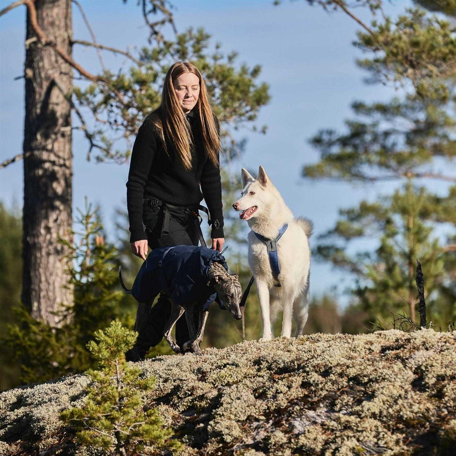 Non-Stop Dogwear Line Harness / Size - Pet Supplies online store