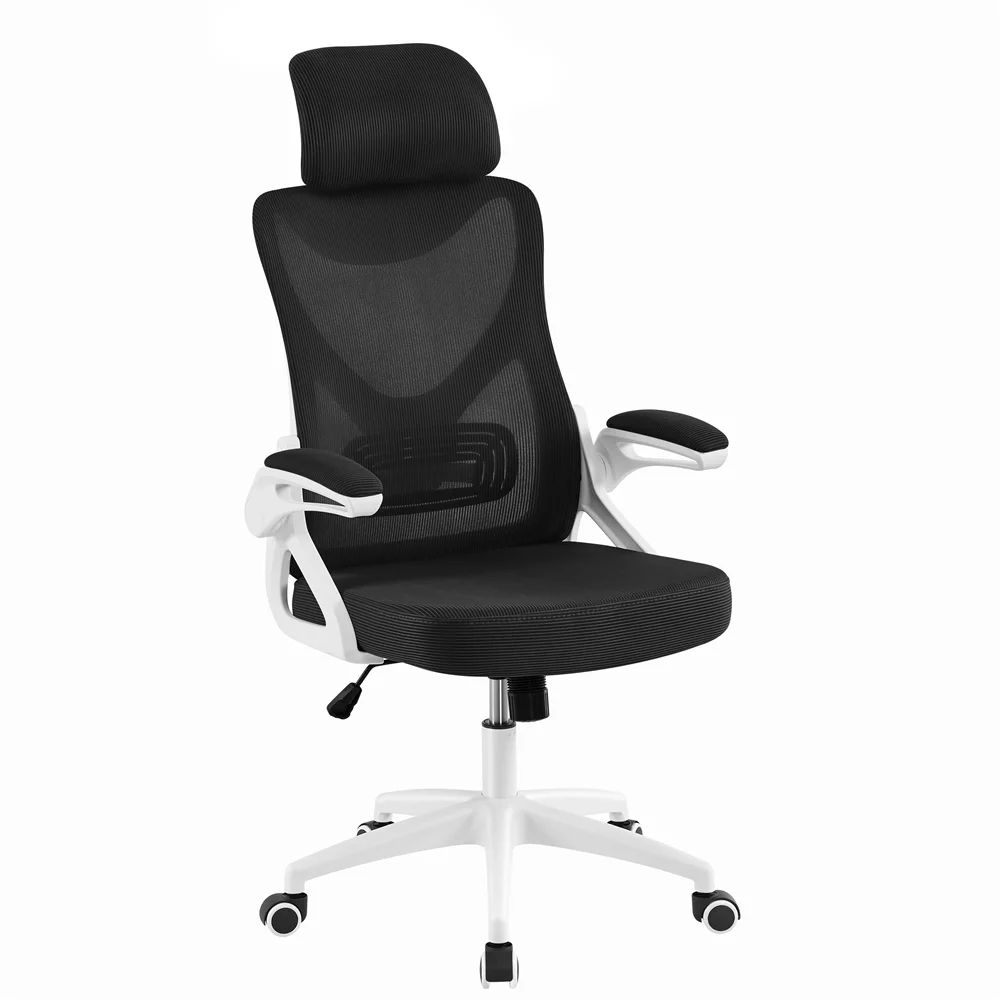 Alden Design Ergonomic Mesh Office Chair with High Back, Black