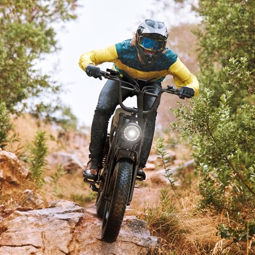 Jasion YR20 Electric Bike for Adults with Peak 2000W Motor, 48V 20AH Battery Electric Bicycle