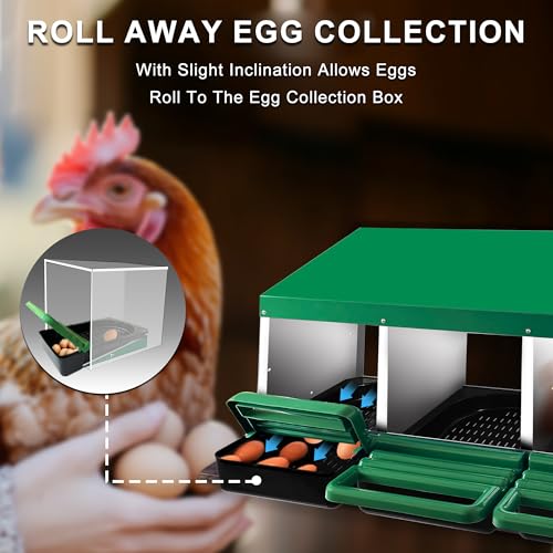Chicken Nesting Box, 6 Compartments Chickens Egg Laying Nest Boxes for Hens