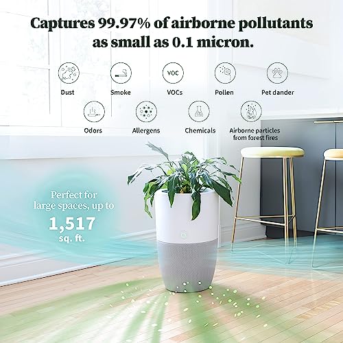 Dupray Bloom™ Air Purifier for Large Rooms with Planter or Custom Accent Table Design | For Home, Bedroom, Office, Dust