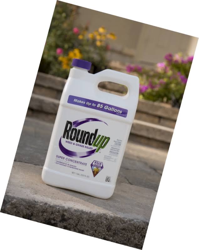 Roundup 1 Gal Super Concentrate Weed u0026 Grass Killer