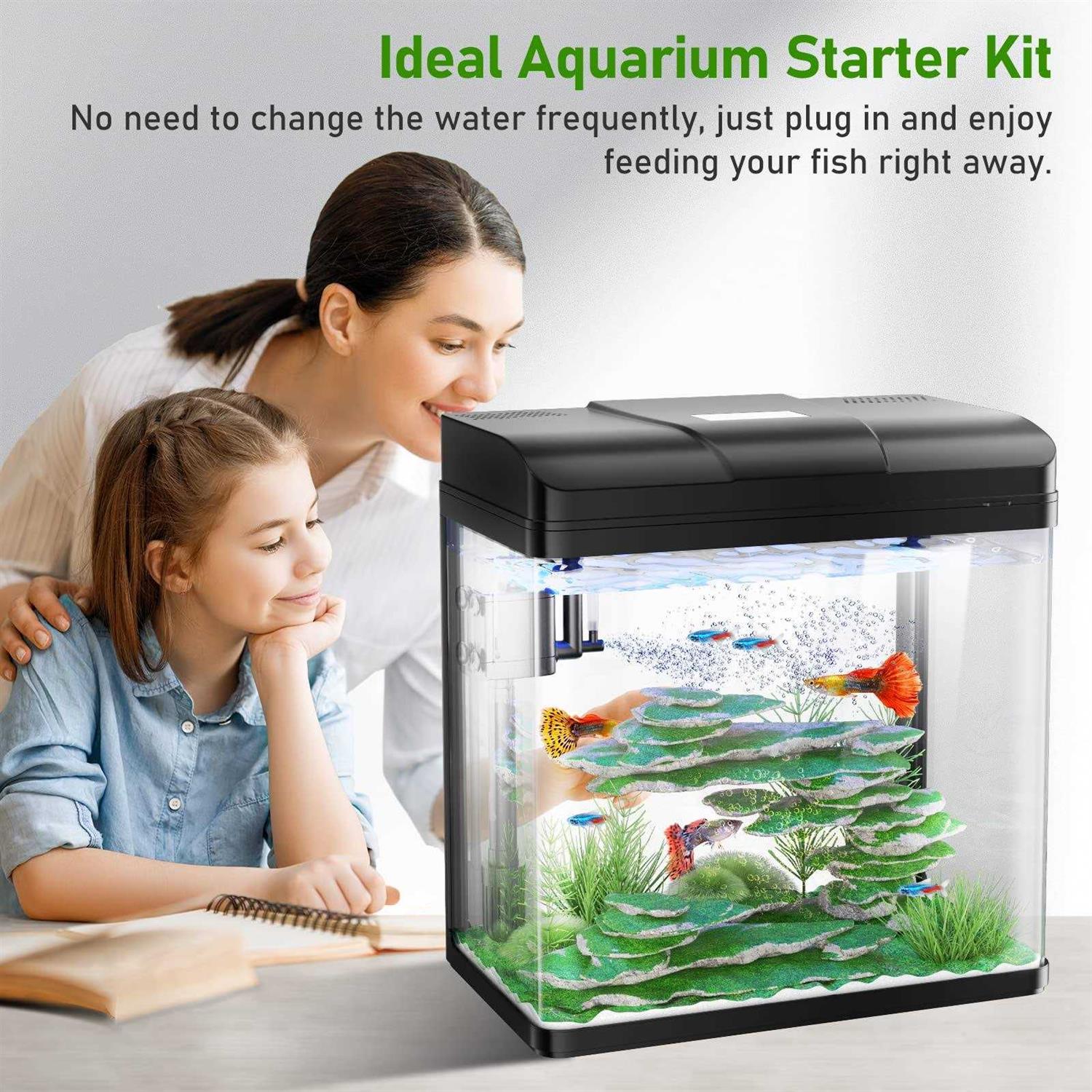 Pondon 5 Gallon Fish Tank, Glass Aquarium with Air Pump, LED Cool Lights and Filter - Pet Supplies online store
