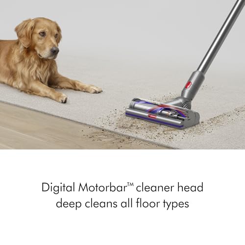 Dyson V15 Detect Plus Cordless Vacuum, Yellow/Nickel