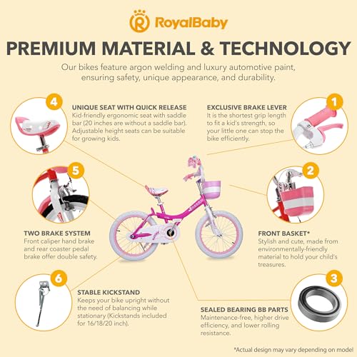 Royalbaby Princess Girls Kids Bike 12 14 16 18 20 Inch Children Bicycle with Basket for Age 3-12 Years