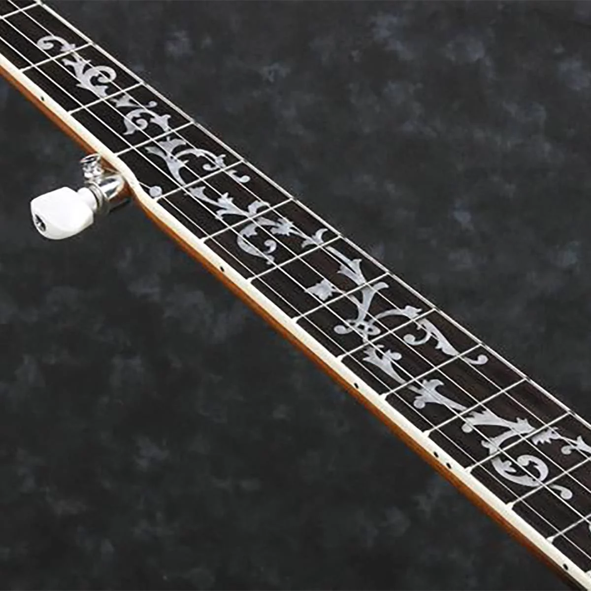 Ibanez B300 5-String Banjo - Radiant Selections