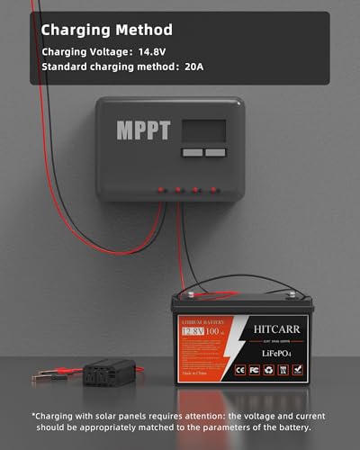 12V 100Ah LiFePO4 Battery, 12V Deep Cycle Rechargeable Lithium Iron Phosphate Rechargeable Battery with BMS perfect for Solar, Marine, RV