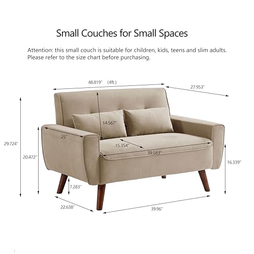 48.8" Small Loveseat Sofa, Mid Century Modern Love Seat Couch with Back Cushions and Wood Legs, 2 Seater Couches for Living Room, Bedroom