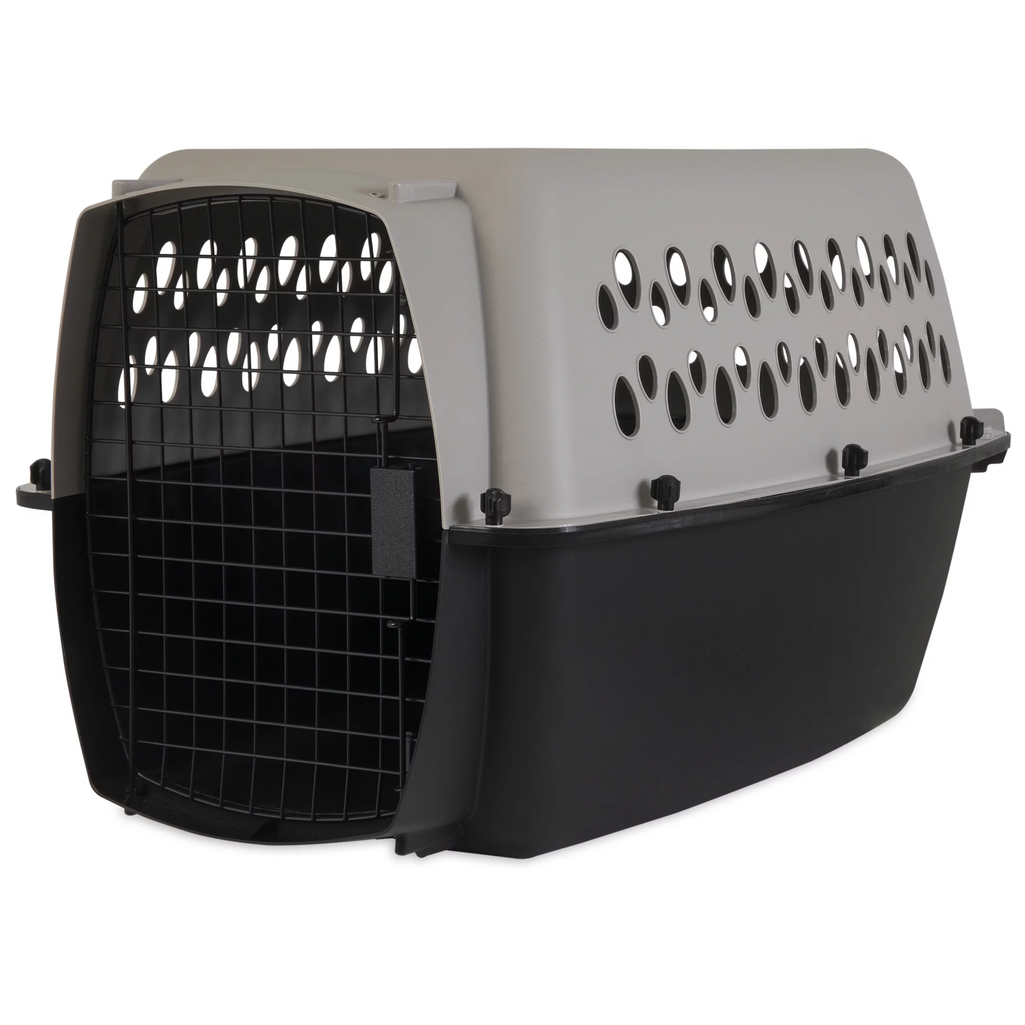 Vibrant Life Pet Kennel 19 X-Small Plastic Dog Crate Portable Carrier for Pets Up To 10 lbs