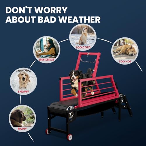 Dog Treadmill for Medium Large Dogs,91" Treadmill for Dogs with Brake
