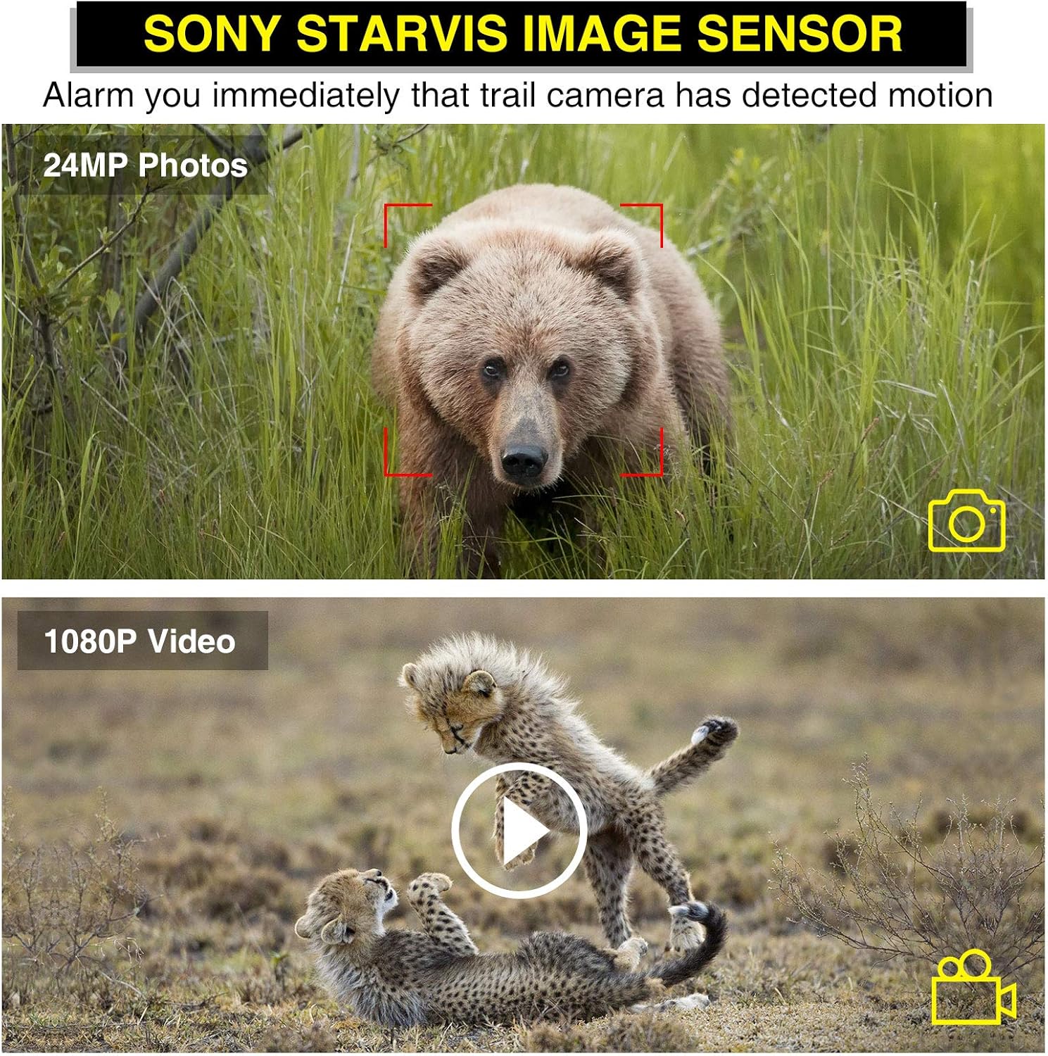 Trail Camera Auto Alarm Function for 150m Sensitive Detection 24MP 1080P Wildlife Camera Trail Cameras with Night Vision Motion Activated Waterproof