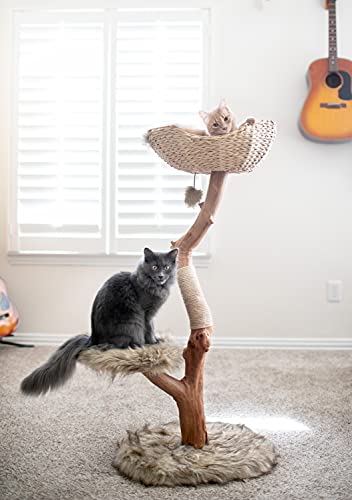 Wooden Cat Climbing Tree Tower, Modern Single Branch Cat Condo, Wood, Cat Lover Furniture Gift by MAU LIFESTYLE (Alpine White)