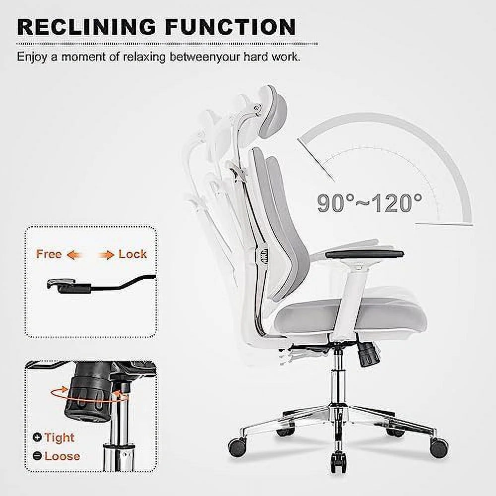 Ergonomic Office Chair Dual Backrests  BV Lumbar Support Office Desk Chair Back Support  Breathable mesh Office Chair 3D Adjustable Armrest