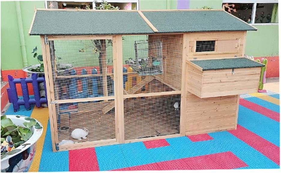 Large cedar wood waterproof roof green chicken coop