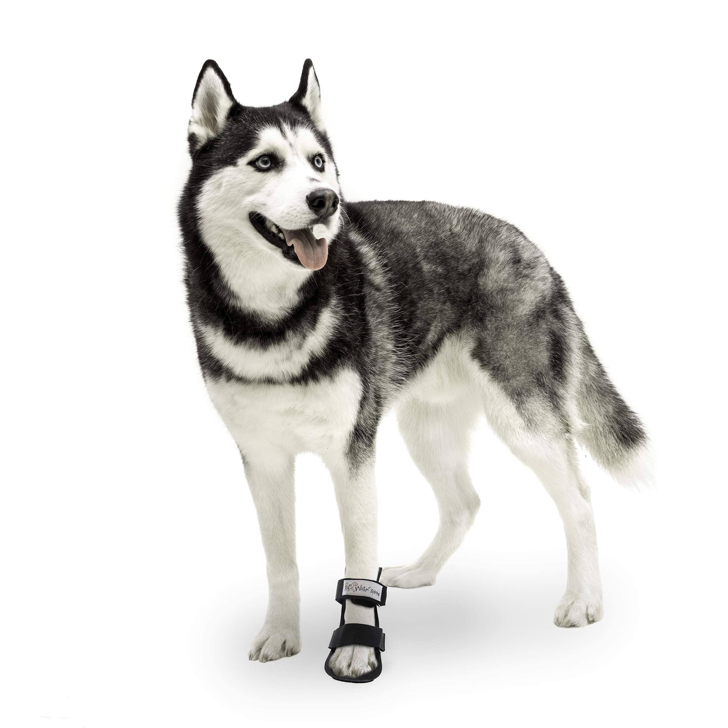 Walkin& Pet Splint for Dogs, Canine Bootie Style Leg Splint Medium