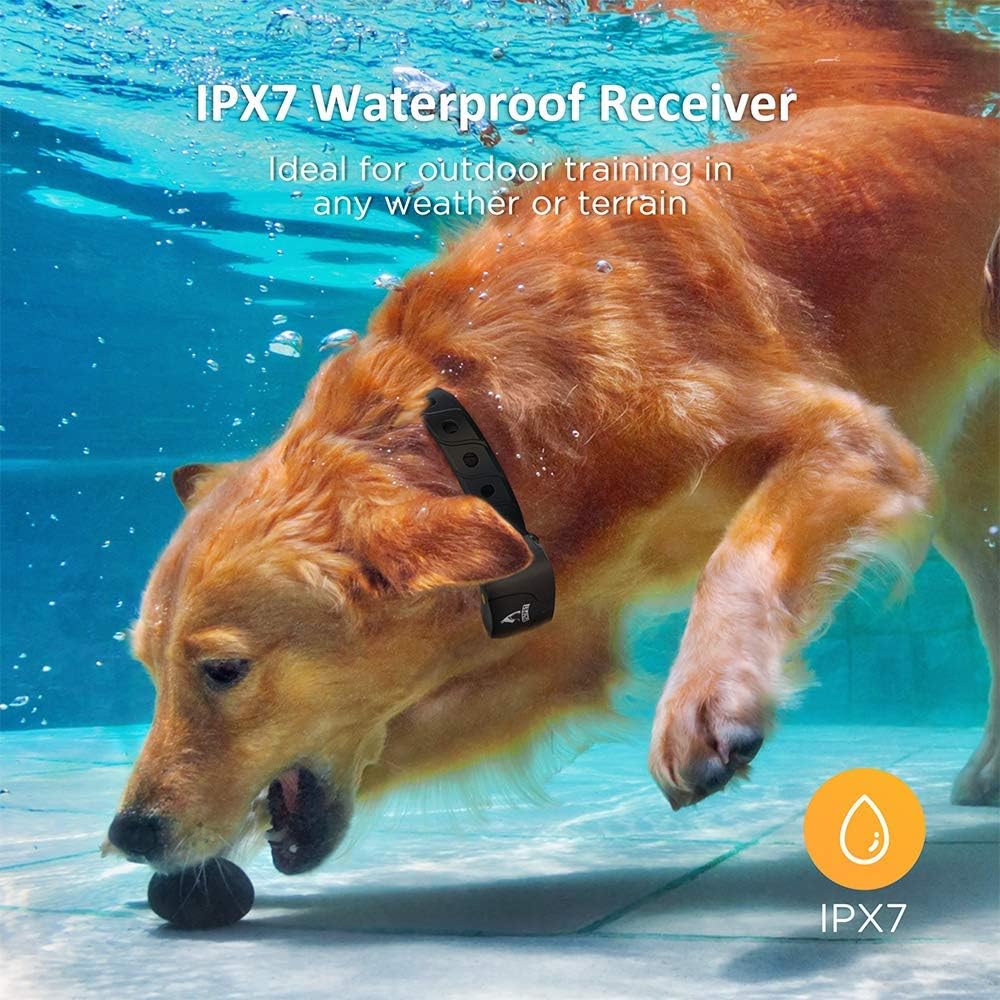 PATPET Dog Shock Collar for Large Dog - Rechargeable Dog Training Collar with Remote IPX7 Waterproof 3 Training Modes, Beep
