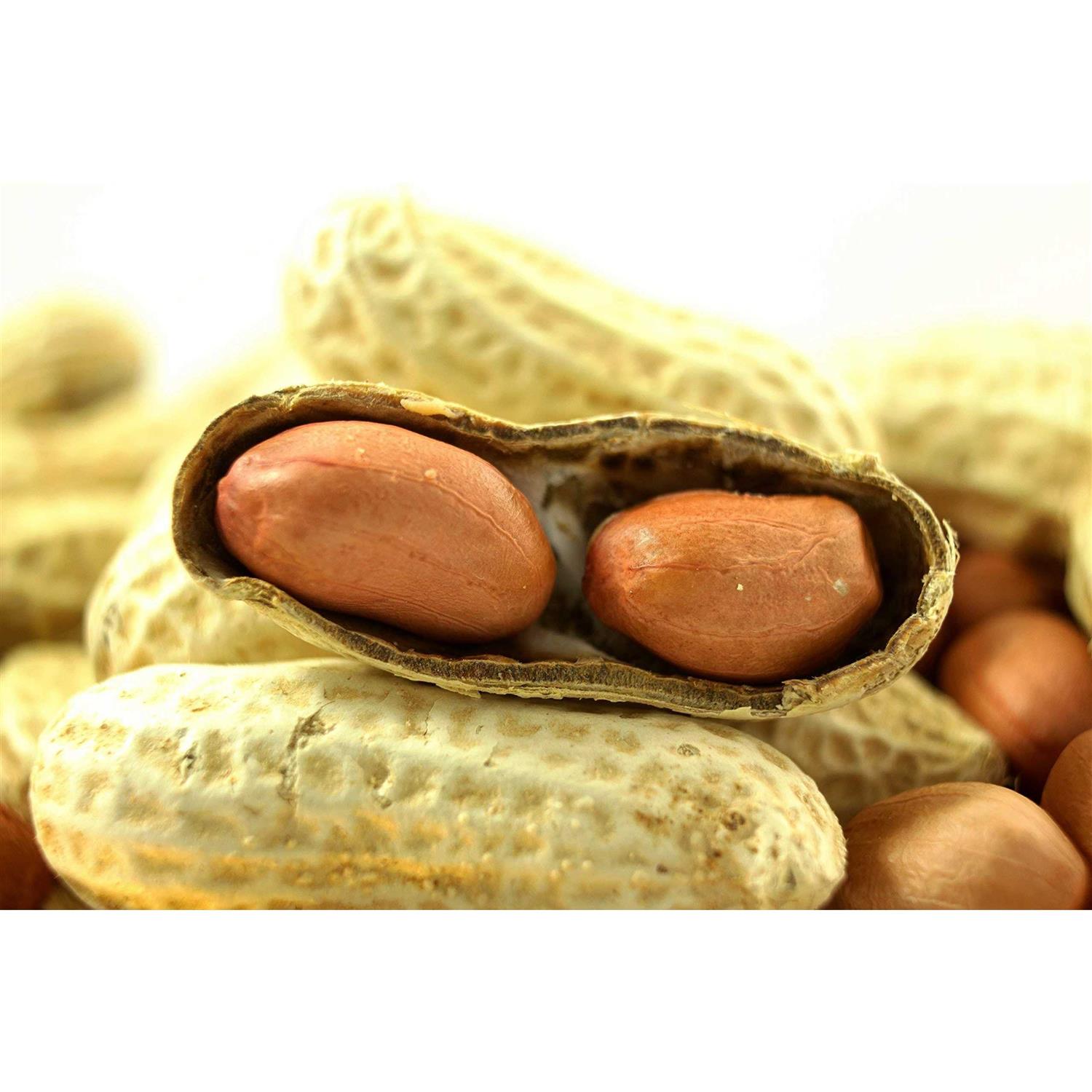 WAKEFIELD PEANUT COMPANY A TRADITION OF EXCELLENCE SINCE 1965 Wakefield Extra Large Virginia Peanuts for Animals - Pet Supplies online store