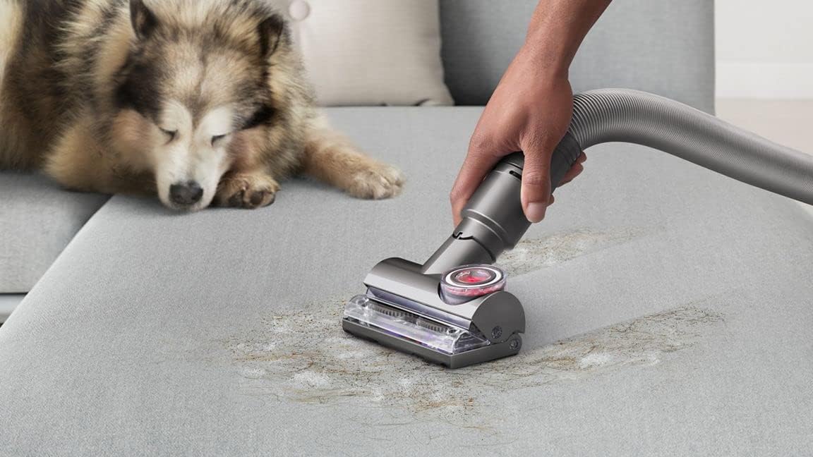 Dyson Ball Animal 3 Extra Upright Vacuum - Copper/Silver (Renewed)