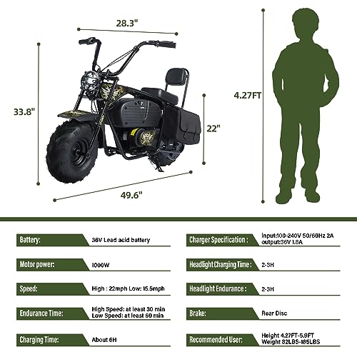 Oryxearth Electric Mini Dirt Bike, 36V Battery 1000W Motor Electrical Powered Motorcycle for Kids, 2 Speeds-15.5MPH/22 MPH, 2 Hanging Bags