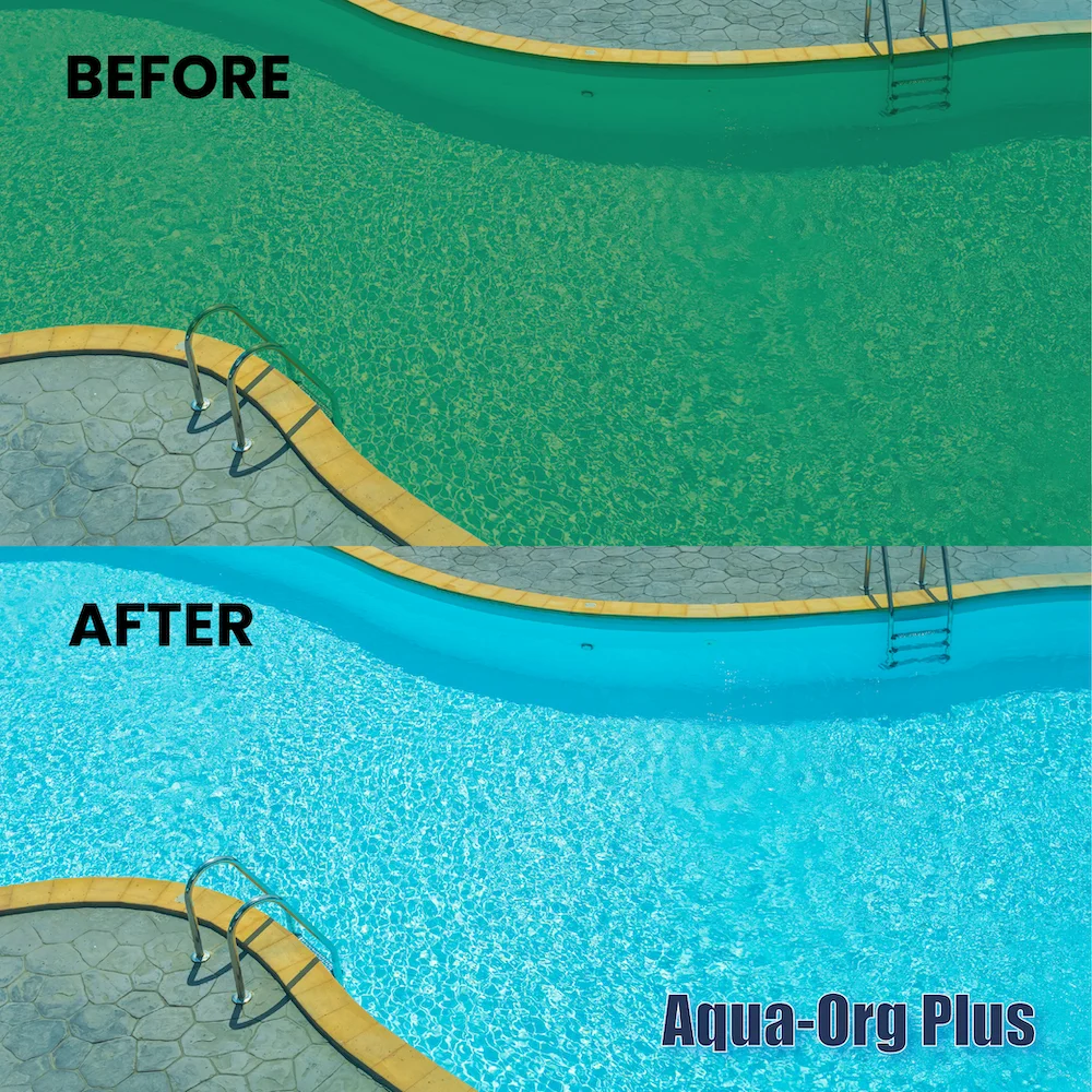 Aqua-Org Plus - Granular Calcium Hypochlorite 65% Pool Shock for Swimming Pools, Spas and Hot Tubs (55 Pound) RCHO65EUPPSP055 - Radiant Selections