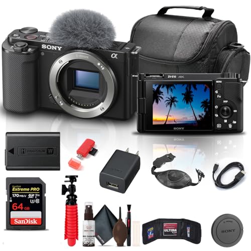 Sony ZV-E10 Mirrorless Camera (Body Only