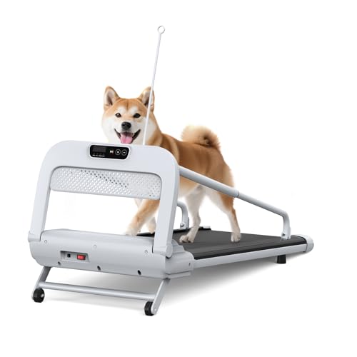 2025 New Quiet Smart Pet Treadmill, Adjustable Speed
