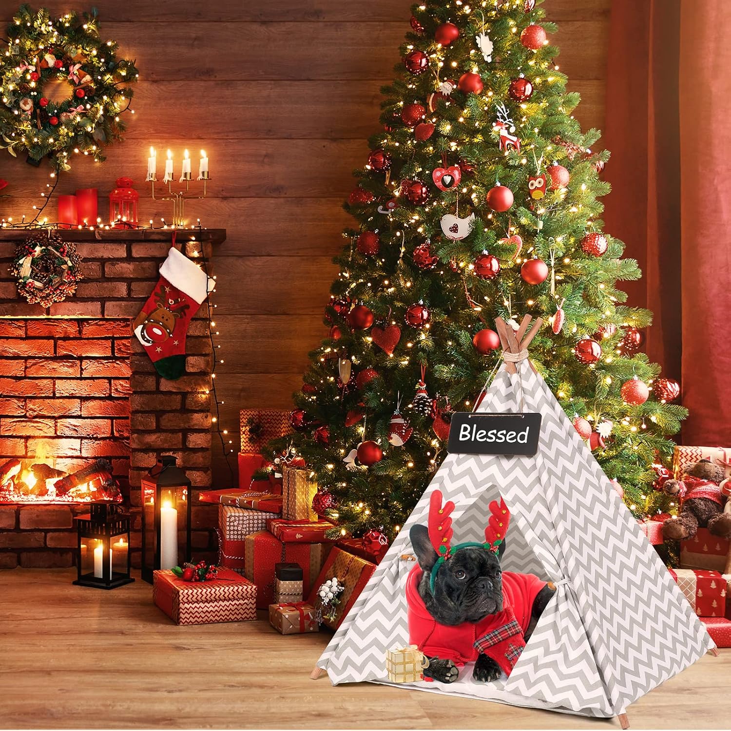 Dog Cat Teepee Tent, Pet Teepee Tent for Dogs and Cats, Dog Cat Bed House for Small Medium Cats and Dogs with Cushion